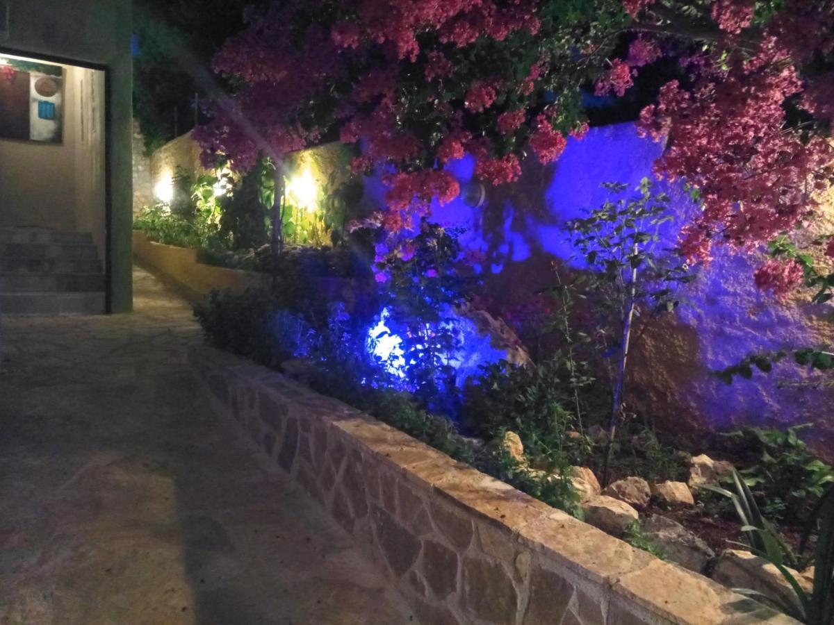 Xenonas Κithαiron Hotel Vília Екстериор снимка